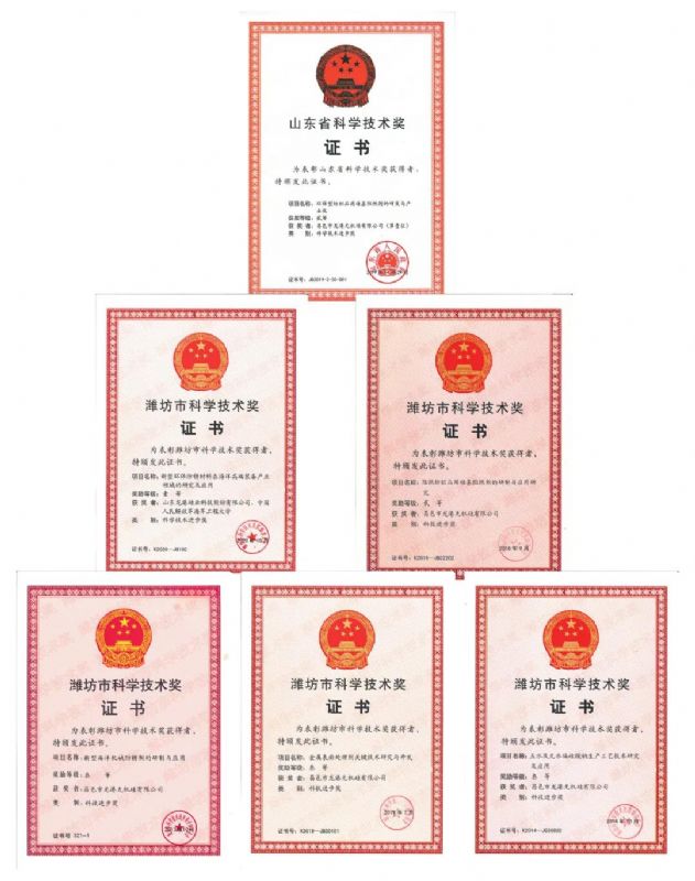 [good news] Longgang silicon Co., Ltd. won the first prize of Weifang Science and Technology Progress Award！