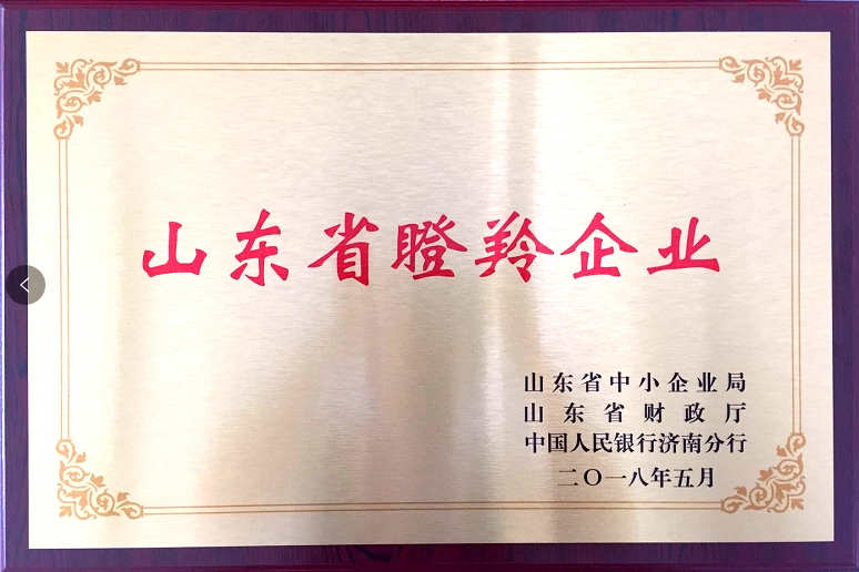 回首過(guò)去，不忘初心；展望未來(lái)，砥礪前行丨2019，龍港再出發(fā)！